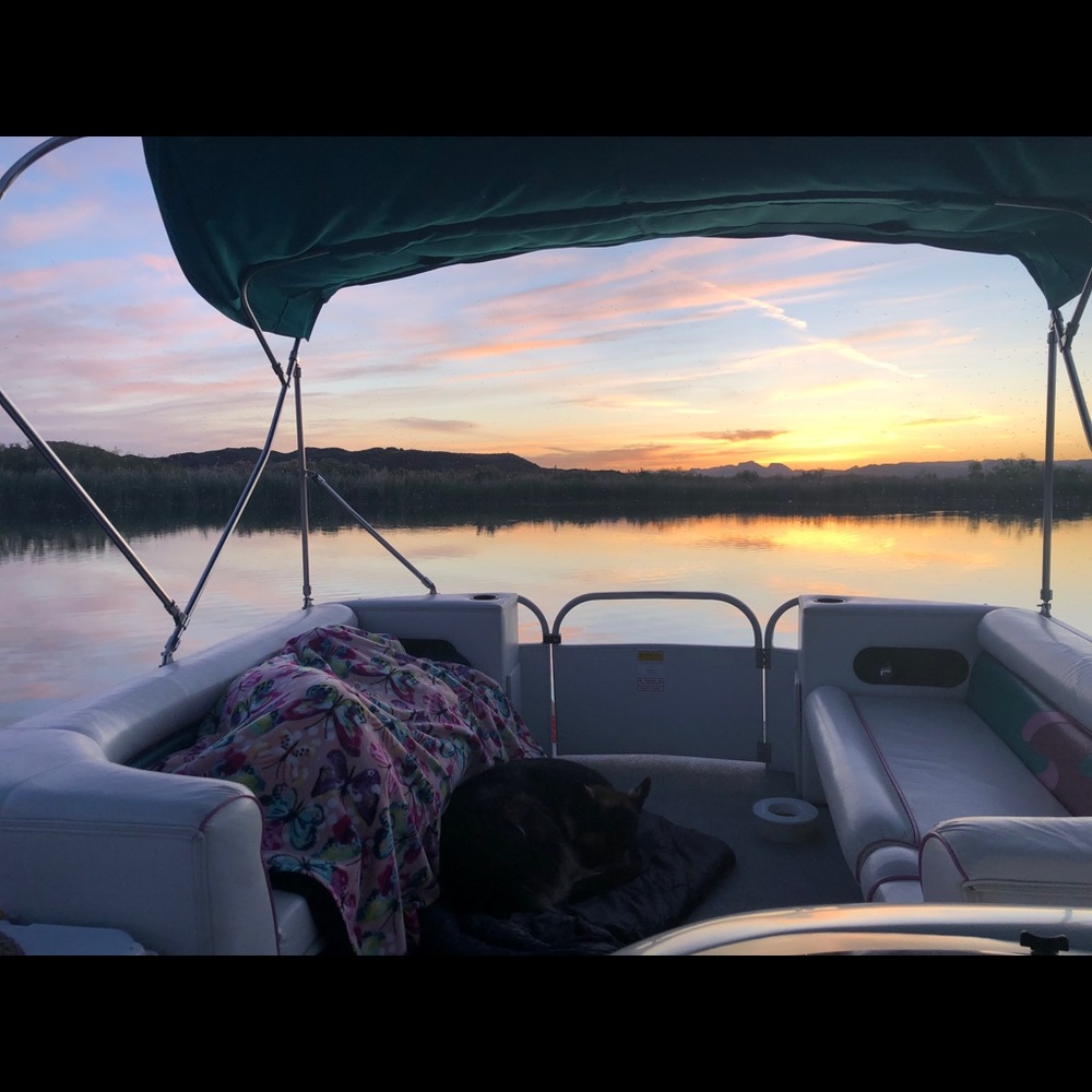 Meet your Posher, Megan